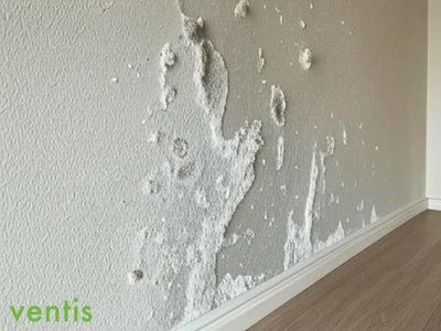 How to Fix Rising Damp & Protect Your Home | Ventis Ventilation