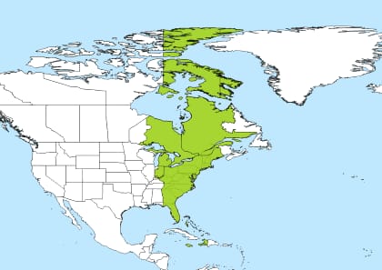 How to Stay Productive While Working Across Time Zones