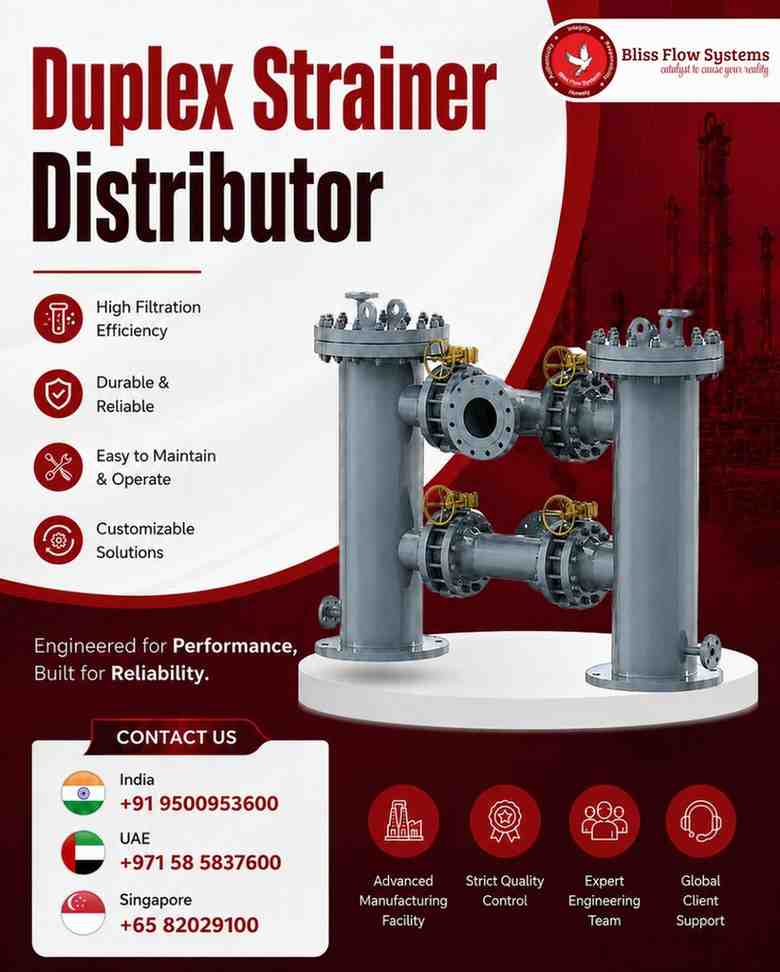 Duplex Strainer Supplier & Distributor in India | BlissFlow Systems