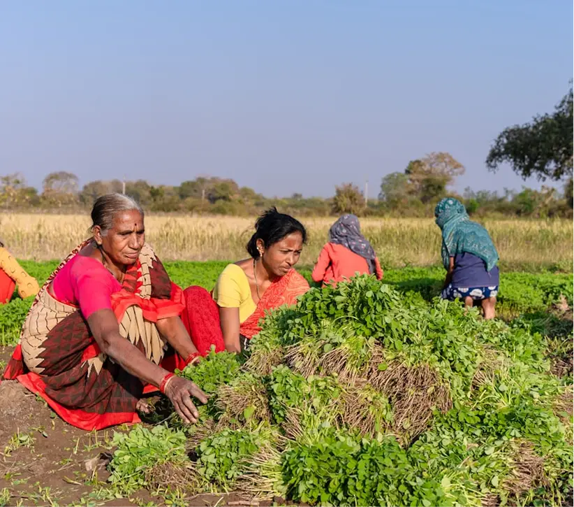 Bulk Healthy Food Supplier Delhi | Svaastha Food